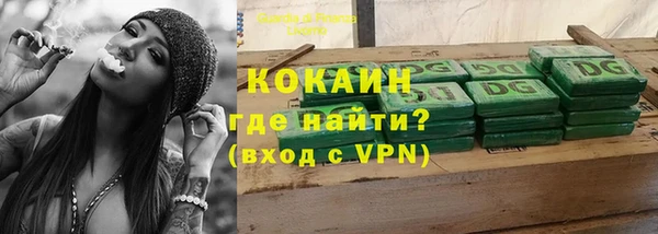 индика Арсеньев