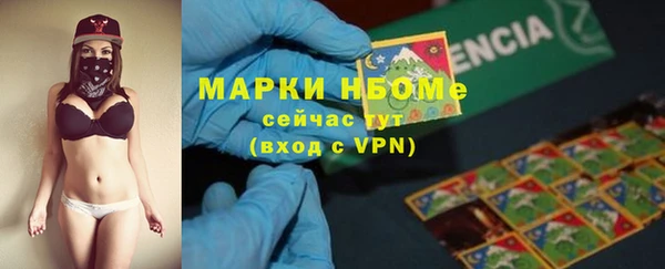гидра Аркадак