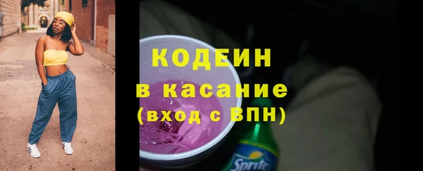 индика Арсеньев