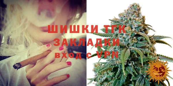 индика Арсеньев