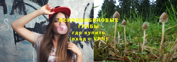 гидра Аркадак