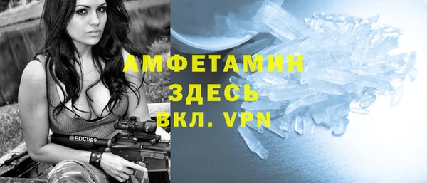 индика Арсеньев