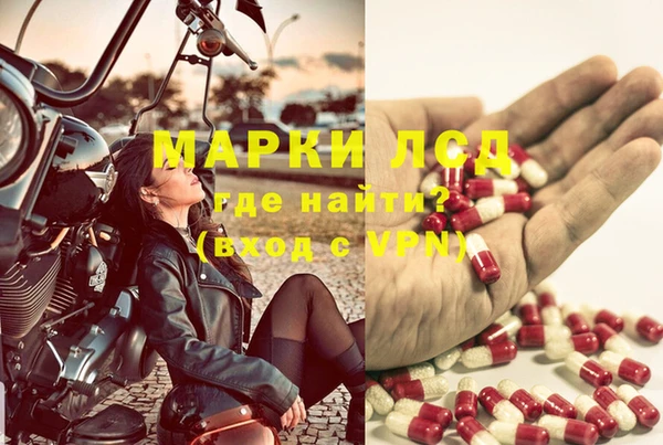 индика Арсеньев